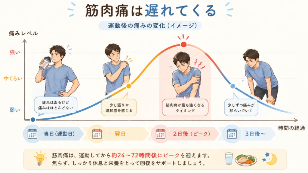筋トレ後に筋肉痛が2日後にピークになる時間の変化を示した図解