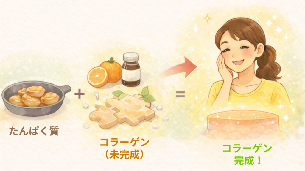たんぱく質・ビタミン・鉄が揃ってコラーゲンが作られ美肌になる流れのイラスト